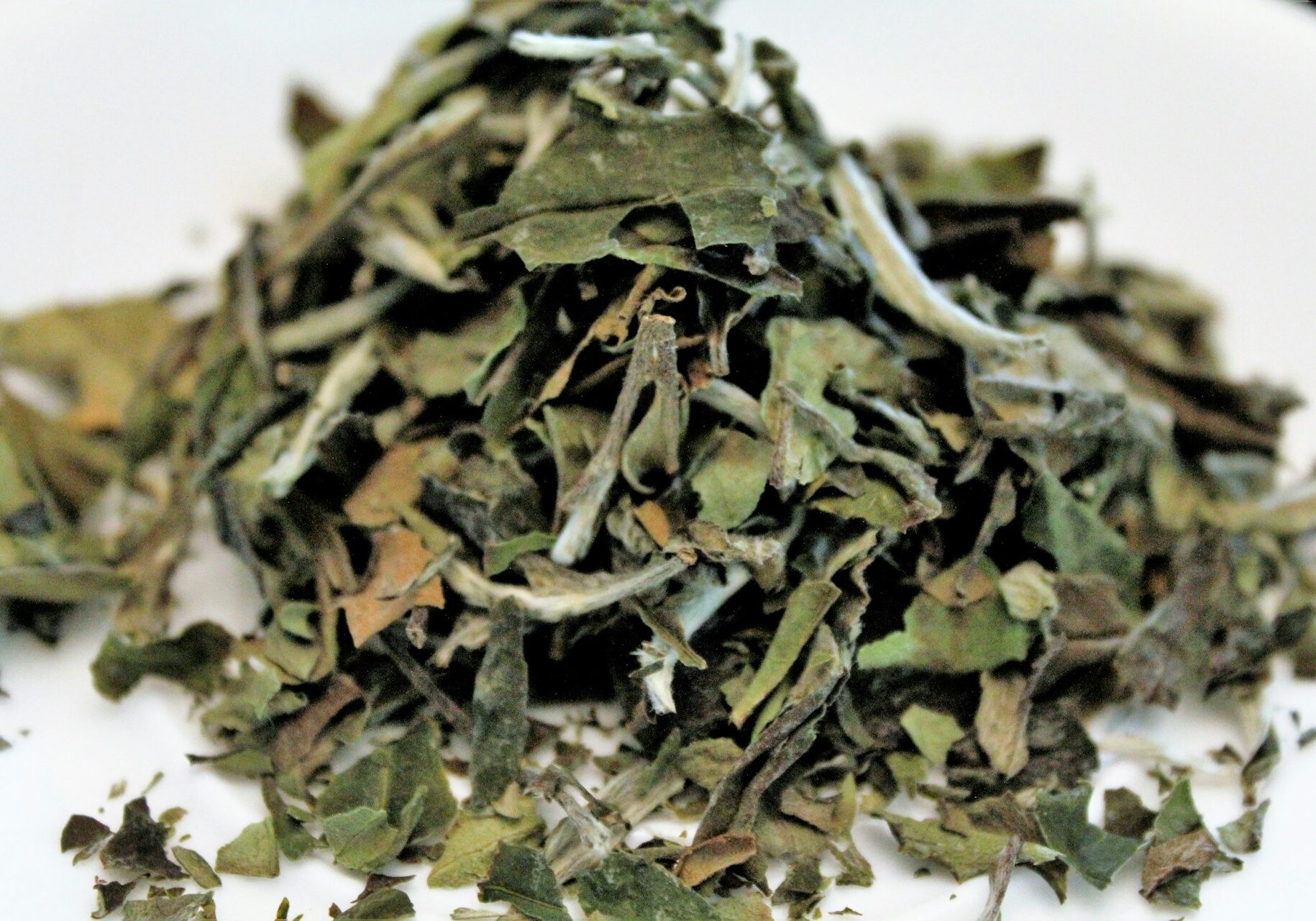 te-blanco-hojas Té blanco bai mu dan